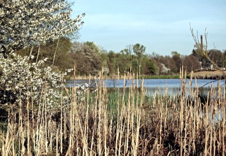 Th&uuml;rer Wiesen Teich, &copy; J&uuml;rgen Thierfelder