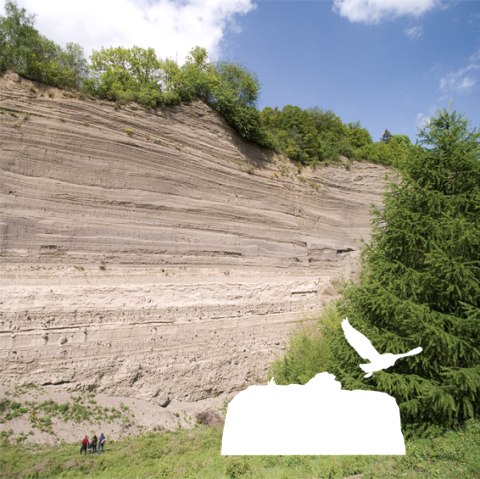 Station 12 - Wingertsbergwand, &copy; Kappest/Vulkanregion Laacher See