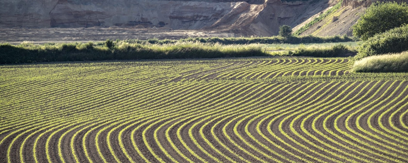 Kartoffelfeld, &copy; Kappest/VG Pellenz