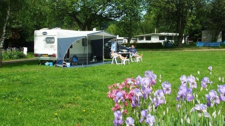 Ein Wohnmobil steht auf einer grünen Wiese, umgeben von Bäumen. Im Vordergrund blühen bunte Blumen.