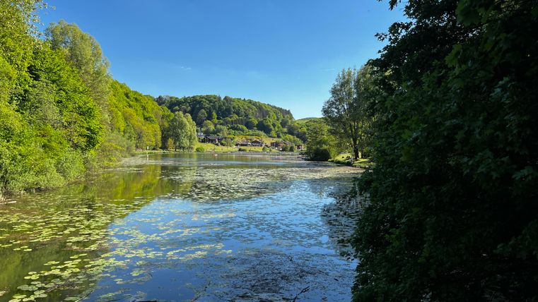 Ein ruhiger See umgeben von dichter grüner Vegetation. Der Himmel ist klar und blau, und die Wasseroberfläche spiegelt die Landschaft wider.