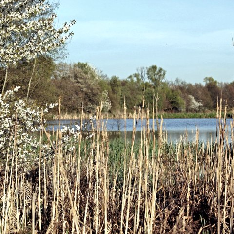 Thürer Wiesen vijver, © Jürgen Thierfelder