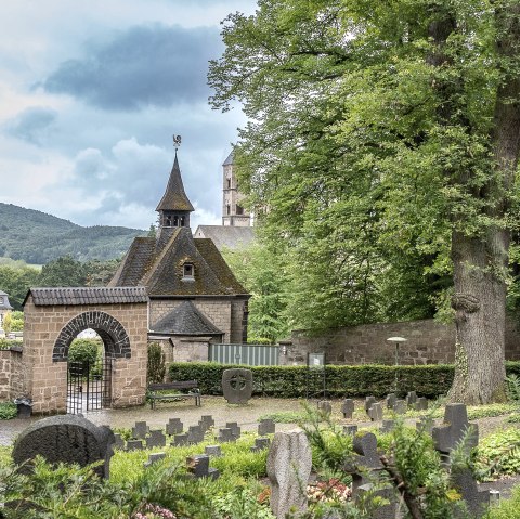 Waldfriedhof, © Walter Müller