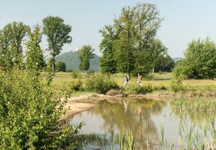 Wandern am Rodder Maar, Burg Olbr&uuml;ck im Hintergrund, &copy; Eifel Tourismus GmbH, D. Ketz