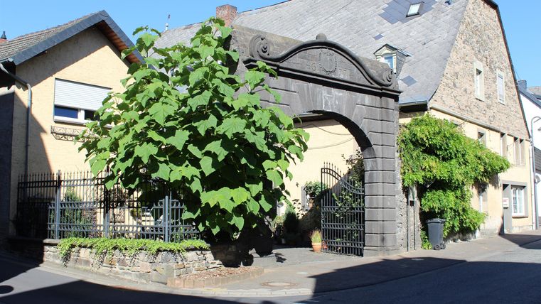 Ein charmantes Gebäude mit einem Tor und üppigem Grün. Die Sonne scheint auf die idyllische Ecke der Straße.