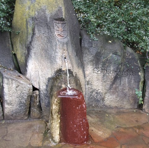 Source du château, © VG Pellenz/Manea