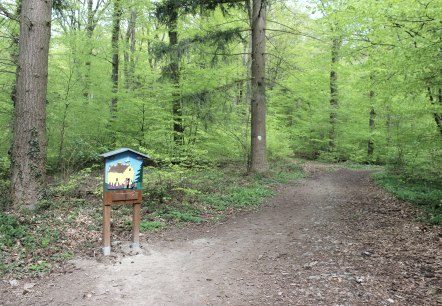 Weg, © Schote/Vulkanregion Laacher See