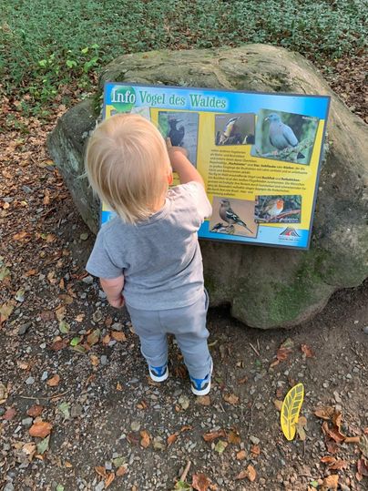 Ein kleines Kind steht vor einem Infotafel über Vögel im Wald. Es zeigt neugierig auf den Text und die Bilder darauf.