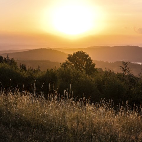 Cache Laachus genie&szlig;t die Aussicht, &copy; Kappest/Vulkanregion Laacher See