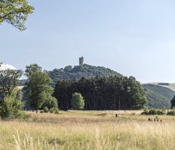 Blick auf Burg Olbrück, © Kappest/Vulkanregion Laacher See