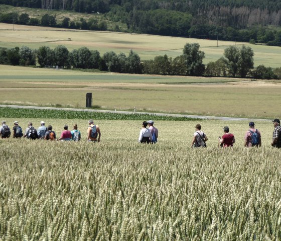 Wandern mit dem Bürgermeister, © G. Hanemann