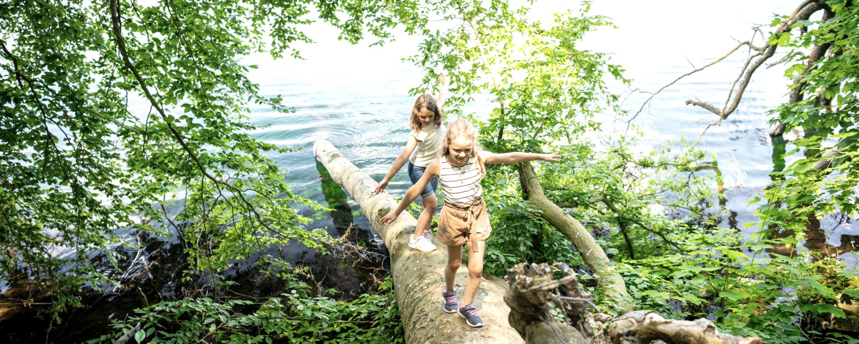 Kinder balancieren &uuml;ber Baumstamm am Laacher See, &copy; Eifel Tourismus GmbH, Dominik Ketz