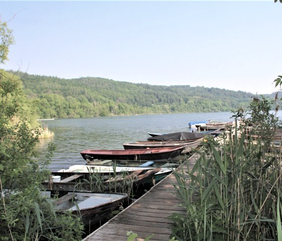 IMG_9243 (2), &copy; Herbert Birnberg