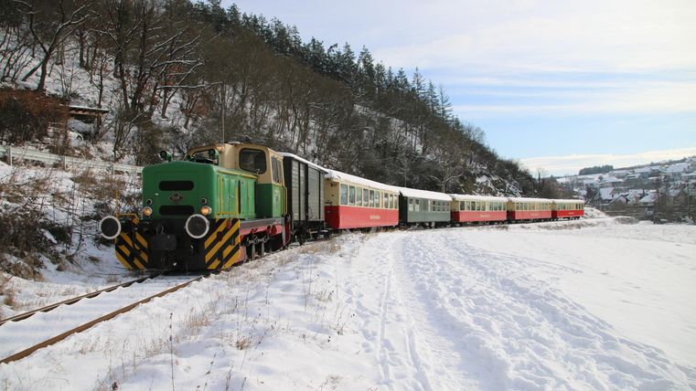 Eine grüne Lokomotive steht an einem verschneiten Bahngleis. Im Hintergrund sind schneebedeckte Bäume und ein rotes Waggon zu sehen.