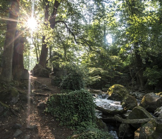 10. Station - Rauscherpark, &copy; Kappest/Vulkanregion Laacher See