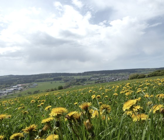 eroeffnung-4-doerfer-weg-spessart-5, &copy; VG Brohltal