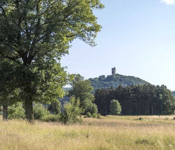Blick auf Burg Olbrück, © Vulkanregion Laacher See/Kappest
