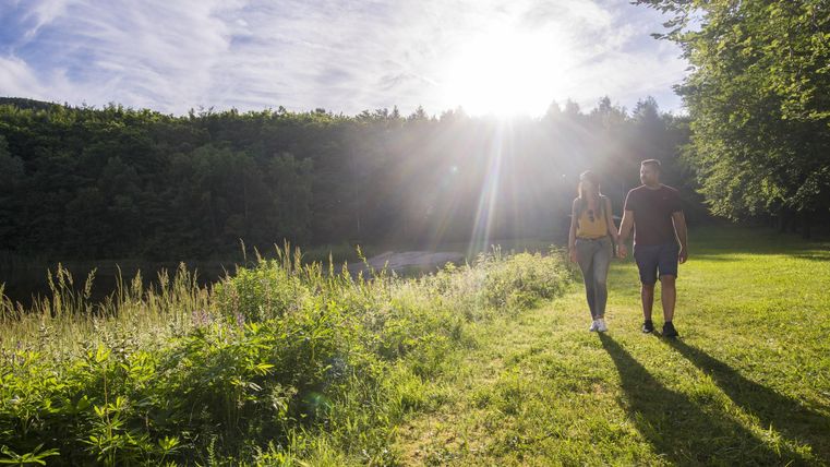 Ein Paar geht entlang eines grünen Weges in der Natur. Die Sonne scheint hell zwischen den Bäumen.