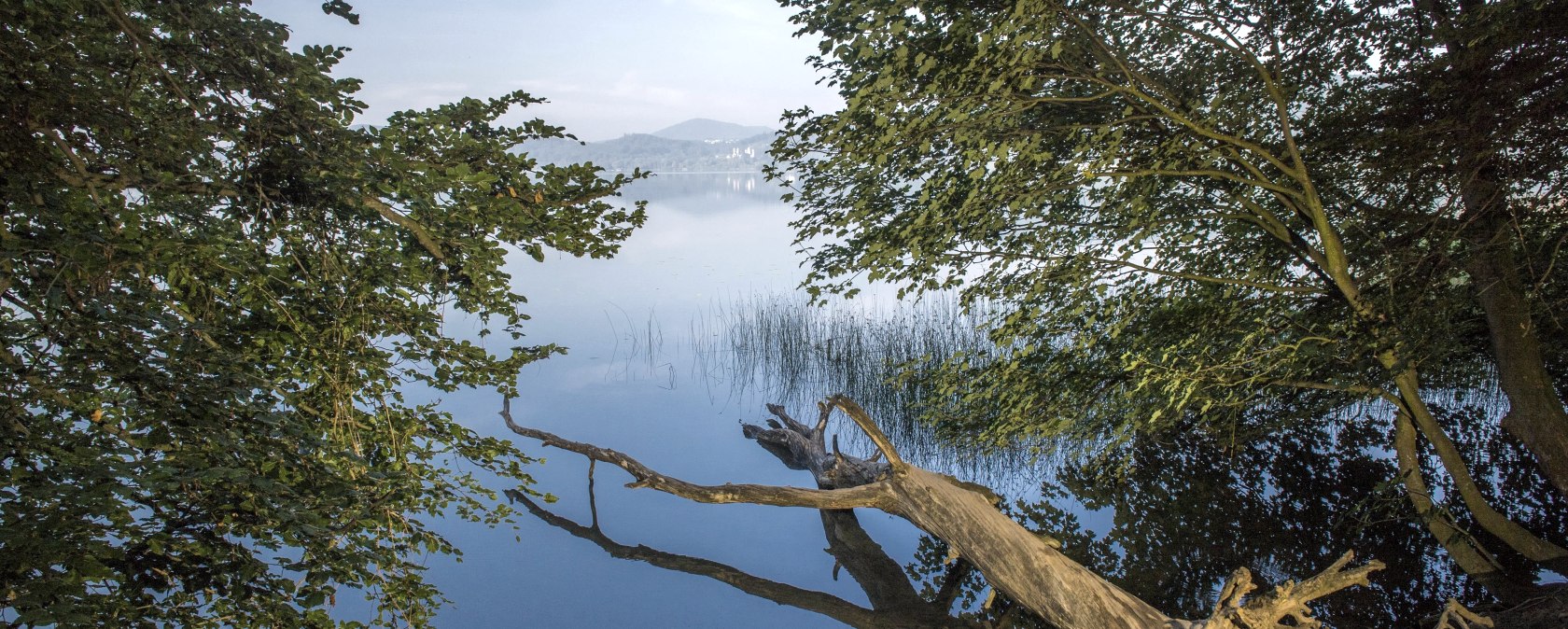 Laacher See, © Klaus-Peter Kappest