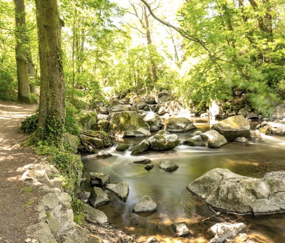 Rauscherpark, &copy; Eifel Tourismus GmbH/Dominik Ketz