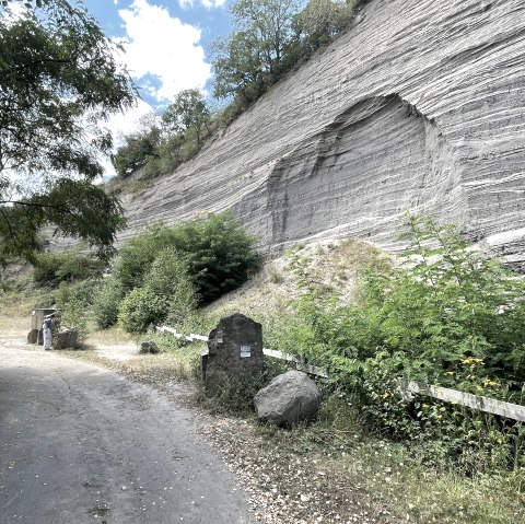 Landschapsmonument "Wingertsbergwand, © Kappest/Vulkanpark GmbH