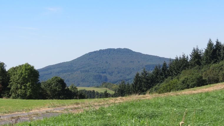 Landschaft mit dem Aremberg im Hintergrund, umgeben von Wäldern und Wiesen.