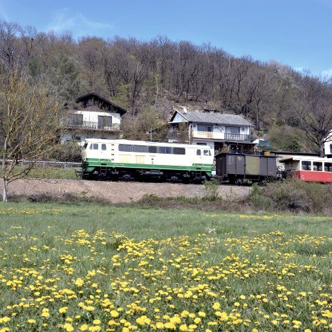 Fr&uuml;hling, &copy; Martin H&ouml;rger