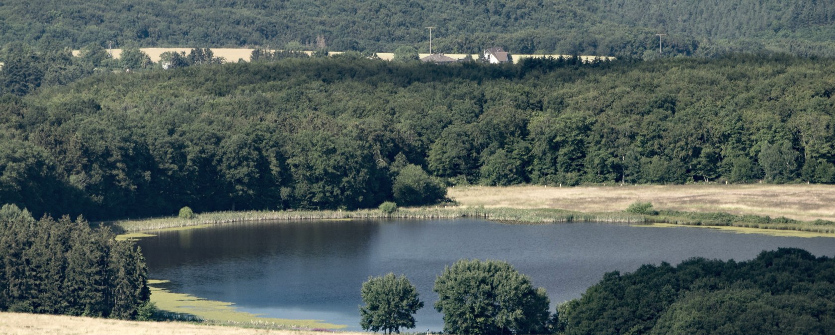 Rodder Maar, © Vulkanregion Laacher See/Kappest