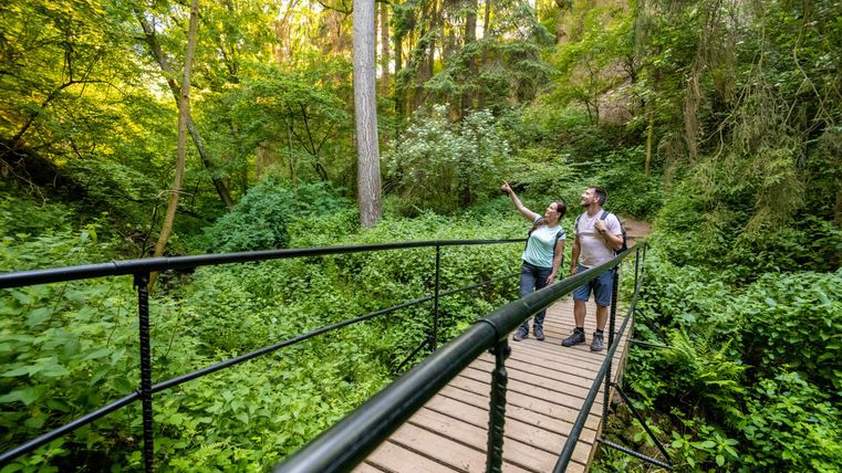 Ein Paar wandert über eine Brücke im Wald und blickt auf die Umgebung. Die üppige grüne Natur bietet eine ruhige Atmosphäre.