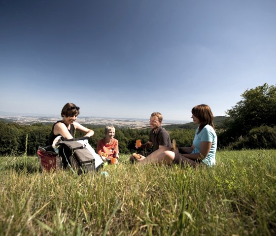 Vier Personen genießen ein Picknick auf einer Wiese mit Aussicht auf den Hochsimmer. Der Himmel ist klar und blau, die Landschaft ist grün und weitläufig., © Traumpfade
