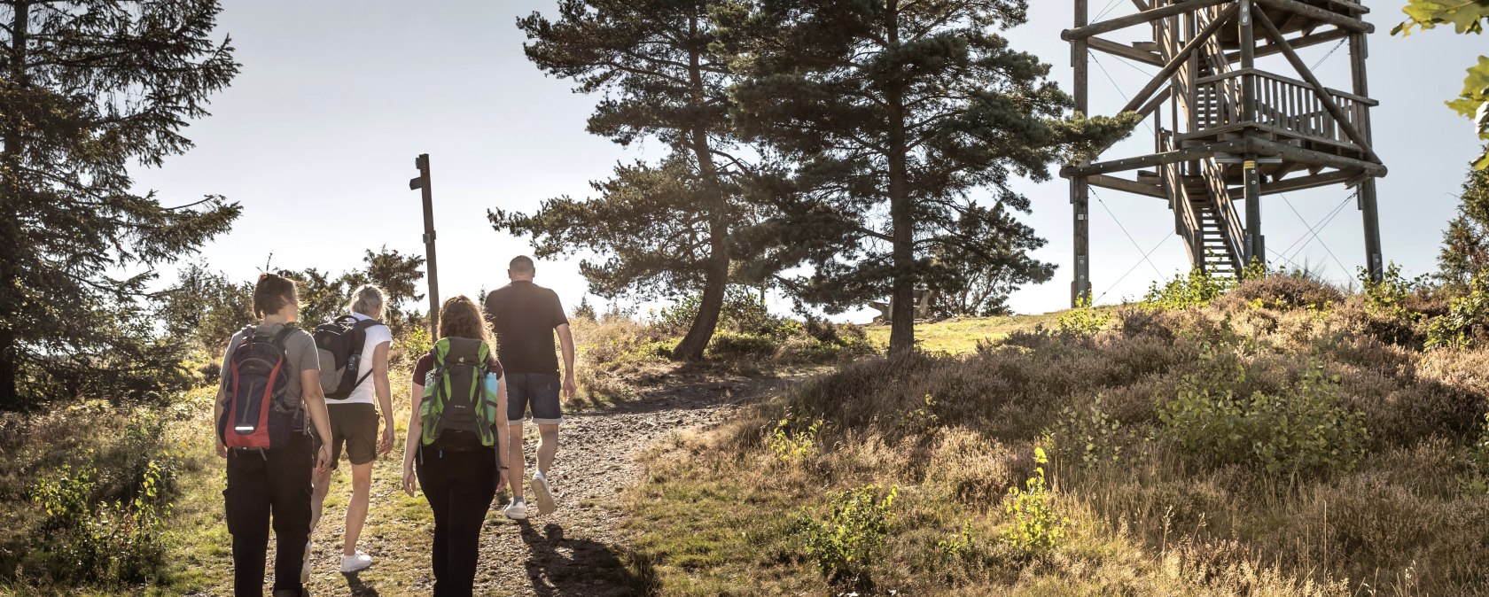 Weiselstein, &copy; Vulkanregion Laacher See