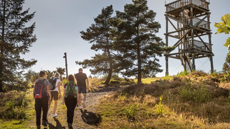 Eine Gruppe von Wanderern geht einen Pfad entlang, um einen Aussichtsturm zu erreichen. Die Umgebung ist von Bäumen und sonnigem Wetter geprägt.