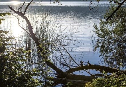 Laacher See, © Kappest/Vulkanregion Laccher See