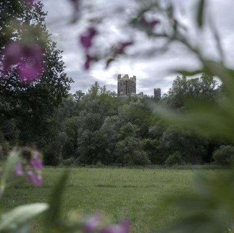 Wernerseck castle ruins in the Nettetal valley, &copy; VG Pellenz/Klaus Peter Kappest