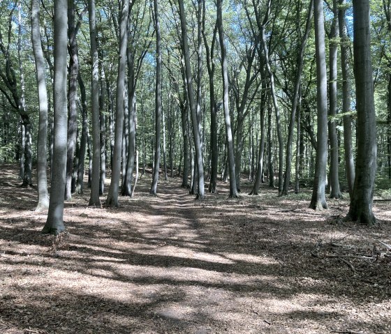 Natur, &copy; M. Schmitz