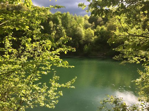 Ein ruhiger Teich umgeben von üppigem grünem Laub. Der Himmel ist bewölkt, was eine friedliche Atmosphäre schafft.