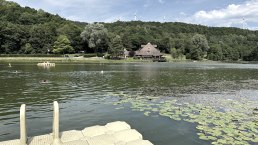 Blick auf die Badestelle am Waldsee Rieden, © Eifel Tourismus