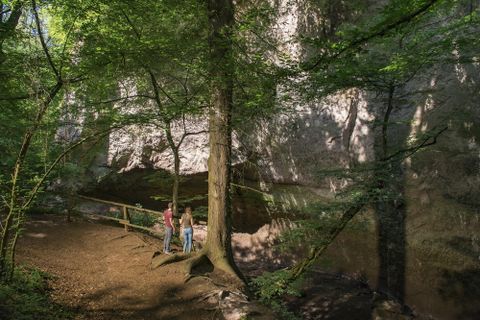 Ein ruhiger Wald mit hohen Bäumen und sanften Lichtstrahlen. Zwei Personen stehen in der Nähe einer Felswand und genießen die Natur.