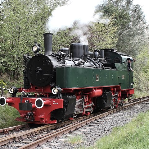 Vulkan-Expre&szlig;, &copy; Vulkanregion Laacher See, Heike Haas