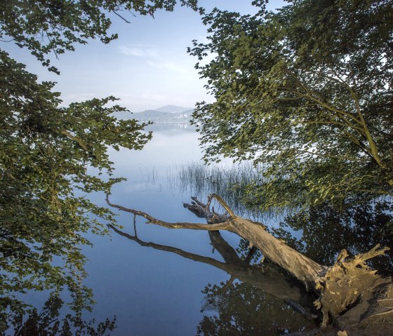 Laacher See, &copy; Kappest/Vulkanregion Laacher See