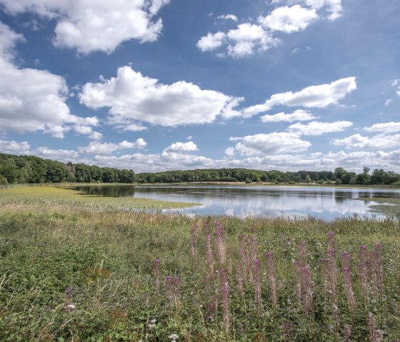 Rodder Maar, &copy; Vulkanregion Laacher See/Klaus Peter Kappest
