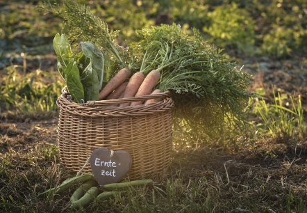 Wochenmarkt, &copy; REMET
