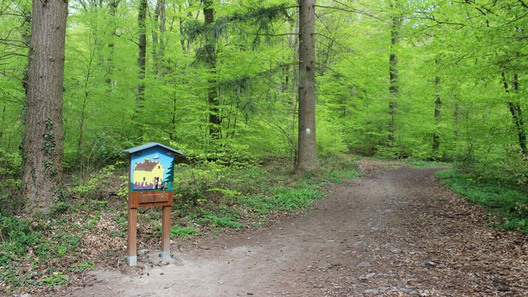 Ein Schild steht am Wegesrand in einem grünen Wald. Der Pfad führt durch die lebendige Natur mit vielen Bäumen.