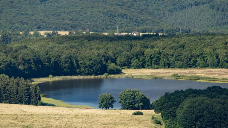 Ein ruhiger See umgeben von grünen Bäumen und Wiesen. Die Landschaft ist friedlich und idyllisch.