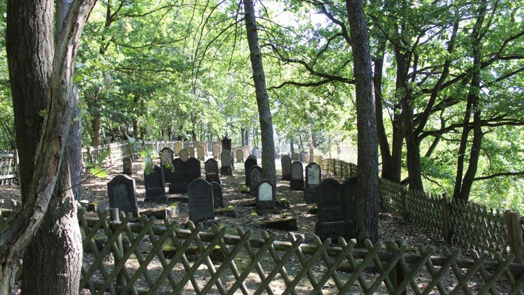 Ein ruhiger, bewaldeter Friedhof mit einigen Grabsteinen. Bäume umgeben den Bereich und sorgen für eine friedliche Atmosphäre.