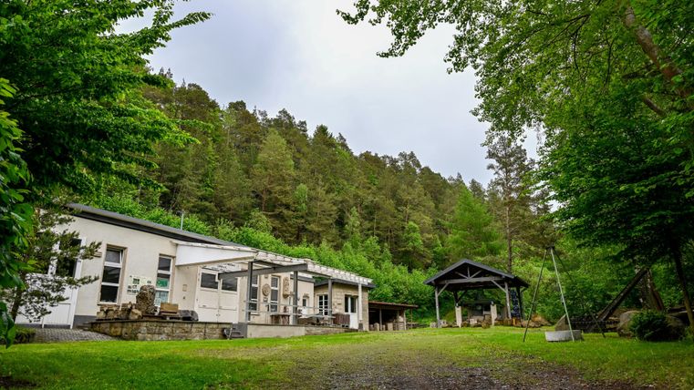 A modern house surrounded by trees and green grass. In the background, there are hills with dense forests.