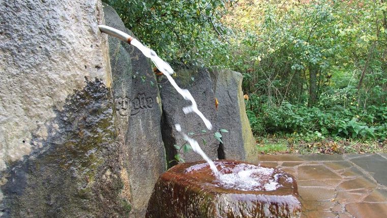 Eine Wasserquelle sprudelt aus einem Felsen und fließt in einen runden Steinbehälter. Die Umgebung ist grün und naturnah.