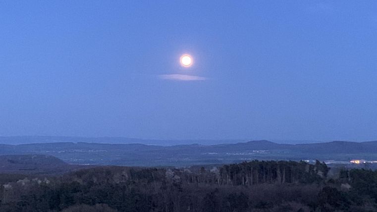 De maan straalt aan de avondhemel boven een glooiend landschap. De omgeving is somber en rustig, met bomen op de voorgrond.