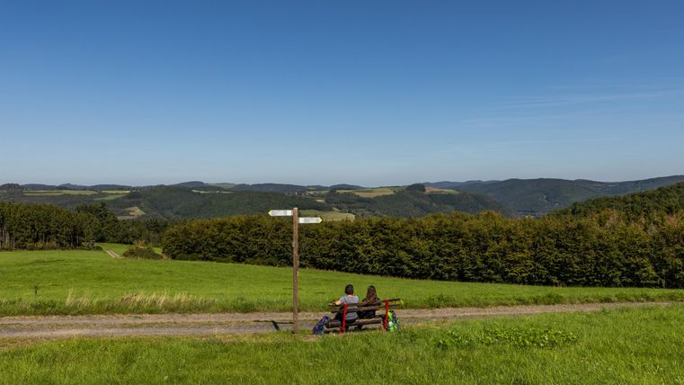 A bench stands at a picturesque viewpoint in the greenery. In the background, gentle hills and a clear sky can be seen.