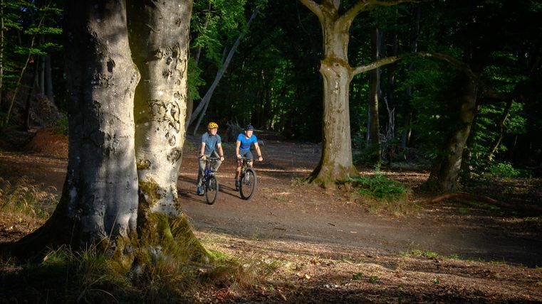 Zwei Fahrradfahrer auf ihren Fahrrädern fahren auf einem Waldweg Richtung Fotograf. Im Vordergrund zwei dicke Baumstämme und im Hintergrund Wald zu sehen.